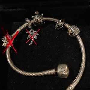 Pandora Charm Bracelet